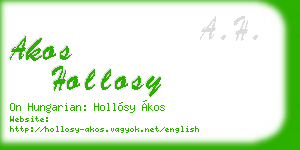 akos hollosy business card