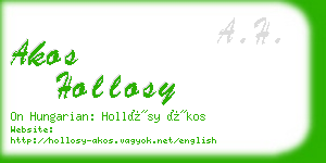 akos hollosy business card